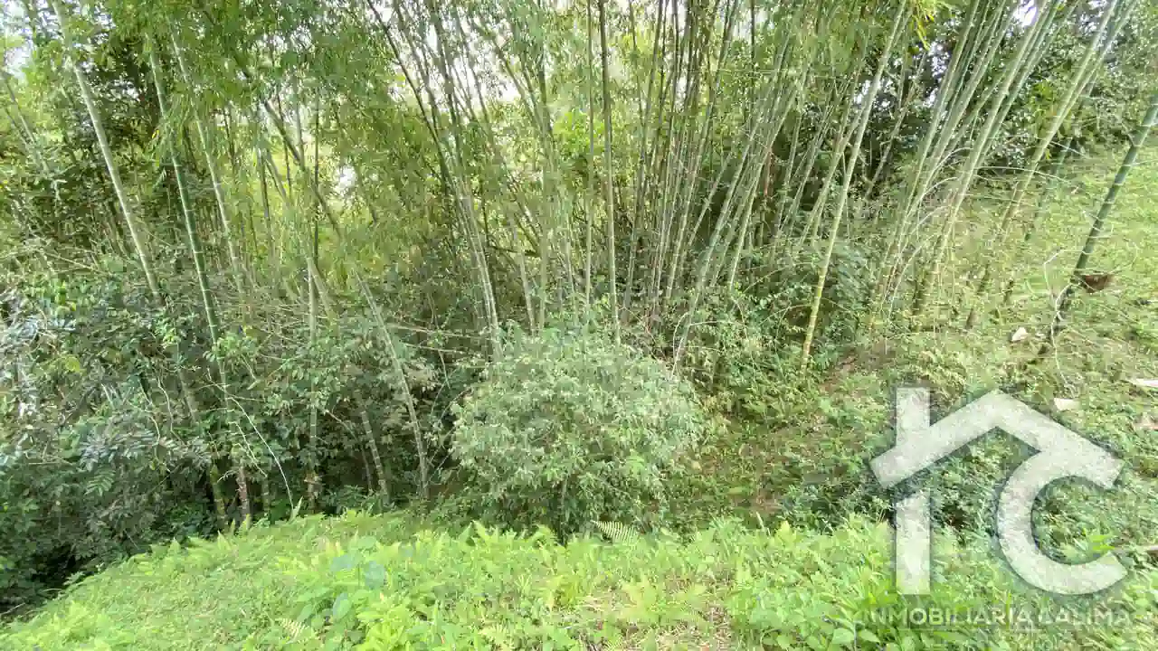 Lote Heidi 01 Jiguales 3800 metros